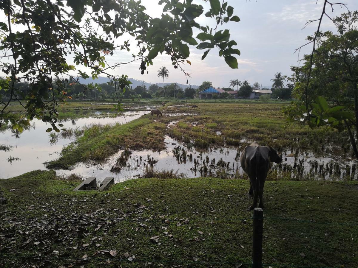 Homestay Barakah Cenang Langkawi Pantai Cenang  Exterior foto